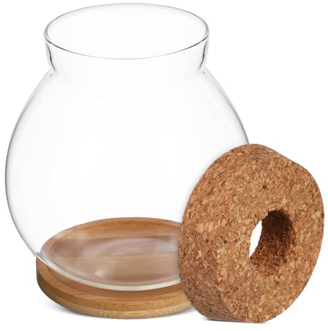VICASKY Bocal pour Poisson Betta avec Tapis Aquarium Petit Terrarium pour Plantes Hydroponiques Décoration de Bureau et Maison Moyenne