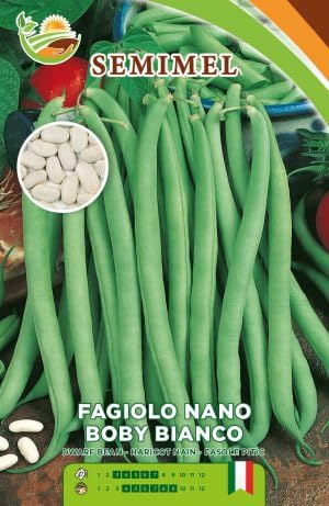 Fagiolo Bobi Nano - Semi di Fagiolo Mangiatutto Precoce, Alta Resistenza, 500g 2 confezioni