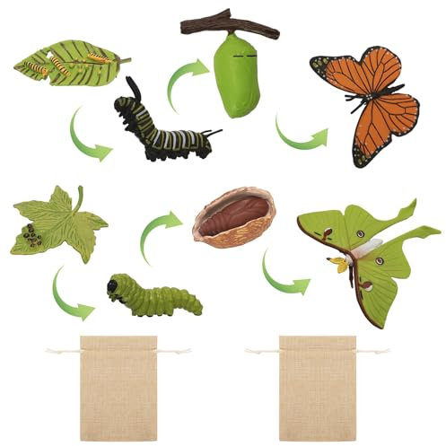 4 Stück Schmetterling und 4 Stück Motte Figuren aus Kunststoff – Insektenfiguren für den Lebenszyklus von der Raupe zum Schmetterling als Lehrmittel für Schulprojekte und Kinder
