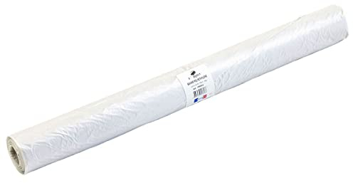 TECPLAST Bâche peinture en ROULEAU 3x25 m 80RPE Translucide - Haute Qualité - Film plastique de protection sol - Made in France