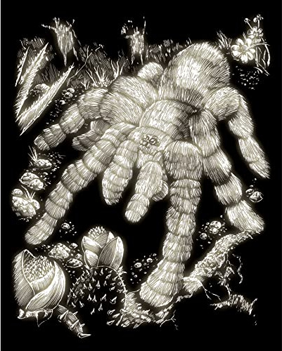 Pracht Creatives Hobby Royal & Langnickel - Image à gratter Tarentule, Glow in The Dark, Images à gratter pour Enfants et Adultes, avec Crayon à gratter et modèle