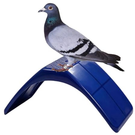 Support Perchoir Debout pour Pigeons Léger, Sécurisé et Confortable | Support Perchoir pour Oiseaux et Perroquets Destiné aux Cages, Volières, Animaleries, Maisons, Jardins, Balcons