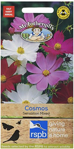 Mr Fothergill's 17802 Flower Seeds, Cosmos Sensation Mixed