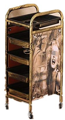 Salon SPA Golden Retro Friseurwagen, 5 Tiers Friseur Barbier Schönheit Wagen, Multifunktion Haar Färbung Tablett mit 4 Schubladen Haartrockner Halter,A1