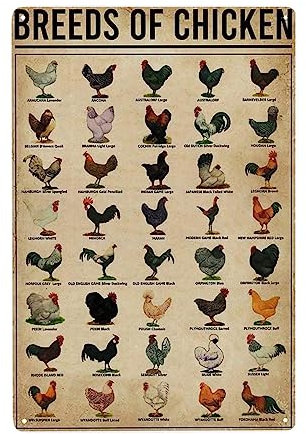Breeds of Chickens Poster Vintage Metal Tin Signs Coffee Shop Rooster Iron Painting Retro Novelty Funny Bar Pub Restaurant Kitchen Farm Chicken Coop Wall Art Home Decor 8x12 Inch