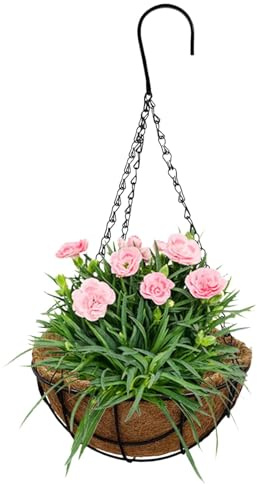 Blumentöpfe zum Aufhängen – Hängekörbe, Bewässerungspflanze, Blumentopf mit Kokosfaser-Auskleidung, eleganter Hänge-Pflanzkorb für Haus und Garten, Dekoration, Entwässerungslöcher für drinnen und