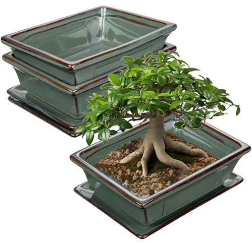 Bonsai-Töpfe aus Keramik mit Drainageschalen, 2er-Set, grün glasierte Bonsai-Pflanzgefäße für den Innen- und Außenbereich, rechteckiger flacher Bonzai-Baumtopf für Sukkulenten, Orchideen, Kakteen