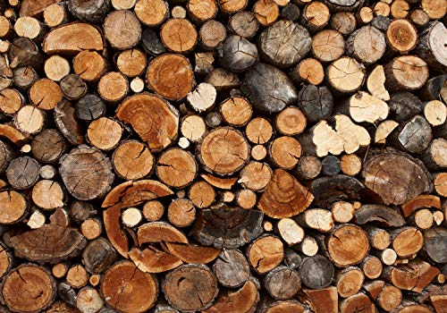 wandmotiv24 Fototapete Holz Holzoptik Holzstapel, XXL 400 x 280 cm - 8 Teile, Wanddeko, Wandbild, Wandtapete, Brennholz, Kamin, Ofen M0706