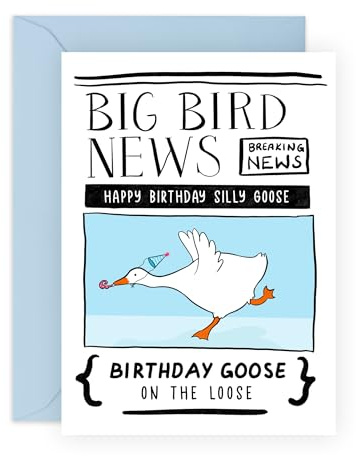 Central 23 Lustige Geburtstagskarten für Freunde – Silly Goose On The Loose – Lustige Grußkarten Geburtstag für Bruder – Geschenke für Sie und Ihn – kommt mit Aufklebern