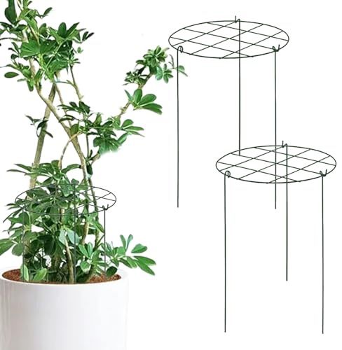 Piattaforma per piante in vaso - Pyliccio per piante interne | Supporto stabile per arrampicarsi piante in 3 pezzi | Forniture da giardino multifunzionali per la propagazione di vasi