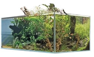 Aquariumline Acquario Shallow Tank Vetro Extrachiaro, Design Rettangolare per Aquascaping e Nano Acquari (60x30x20H)