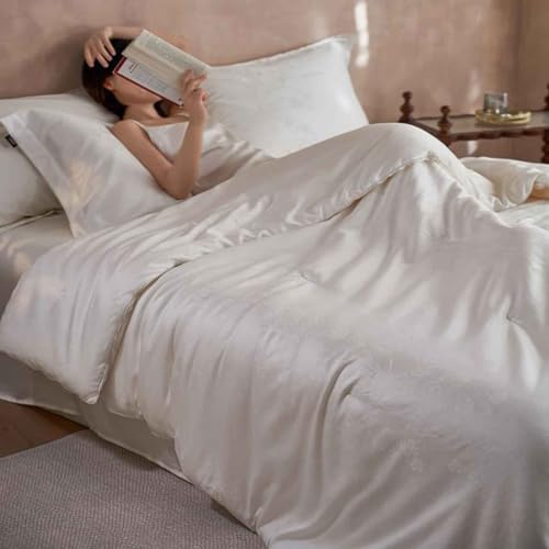 YWQJL Trapunta Matrimoniale, Piumino Invernale Imbottito in Seta di Gelso, Coperta Invernale Matrimoniale, Piumone Invernale Spesso, Piumino Trapuntato Reversibile.(200X230cm/2.4kg)