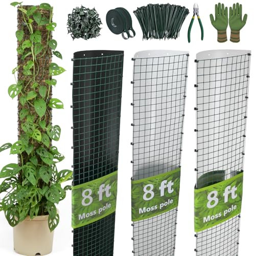DIY Moss Poles Plastic Monstera Plant Support Self Watering Plant Poles for Climbing Indoor Plants Work with Sphagnum Moss(24 ft D Shaped Moss Pole)