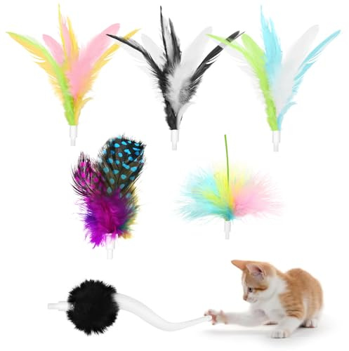TGFIX 6 Stück Katzen Federspielzeug Ersatzfedern für CT01 Katzenspielzeug Interaktives Katzenspielzeug Austauschbare Feder Spielzeugzubehör Teaser Spielzeug Zubehör für Indoor Katzen Spiel