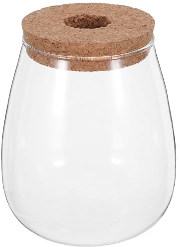 Levemolo Jarrón de Propagación Hidropónico de Vidrio con Corcho y Base de Bambú para Plantas y Orquídeas, Estación de Cultivo Decorativa Adecuado para Sala de Estar