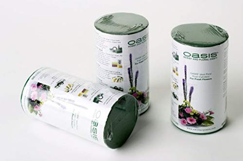 OASIS Floral Foam Cylinder 1141