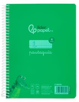 Liderpapel Spiralheft, DIN A5, mit Kunststoffdeckel, 80H, 90 g, liniert, 4 mm, grüner Rand