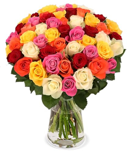 Blume Ideal Rosenstrauß | 40 Bunte Rosen | Ø 40–50 cm | Echte Premium Rosen für Hochzeit & Deko | 7 Tage Frischegarantie | In verschiedenen Farben und Mengen