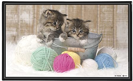 Viquel - Schreibtischunterlage mit Katzenmotiv, dekorativ, Schutz für den Schreibtisch für Kinder oder Erwachsene, Kätzchen, 59,5 x 36,2 cm, Schwarz