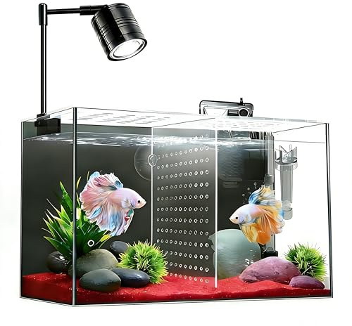 iPriro Fish Tank, 3 Gallon Ultra-Clear Glass Fish Aquarium, with Separator Plate for Betta, Fish Tank Starter kit with Filter and Led Light, Black