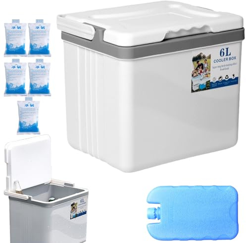Conteneur de stockage de glace – Stockage pour le transport de boissons à temp, conteneur scellé pour l'entretien du froid, unité de stockage mobile