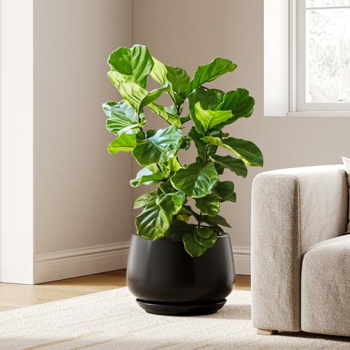 LE TAUCI Keramiska planterare, 30 cm krukor för växter, inomhusväxtkrukor med dräneringshål och fat, moderna planterare passar mitten av århundradets växtställ, blomkrukor för inomhusväxter, svart
