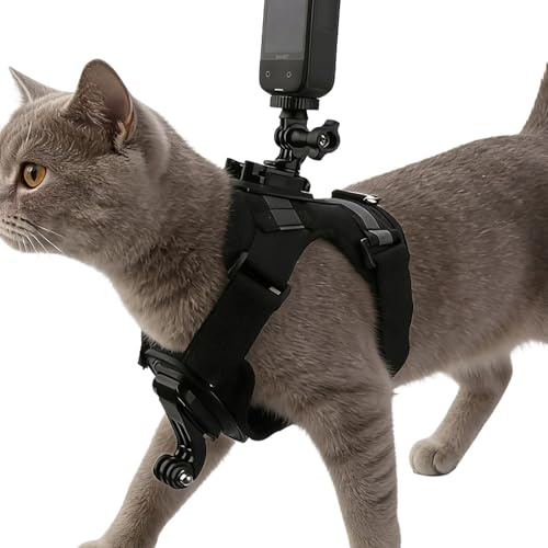 Arnés Tipo Chaleco para Gato Anti-Escape con Montura para Cámara | Arnés Mediano para Gato para Cámara de Acción todas las razas, camping, fotografía, interior, exterior, viajes y senderismo