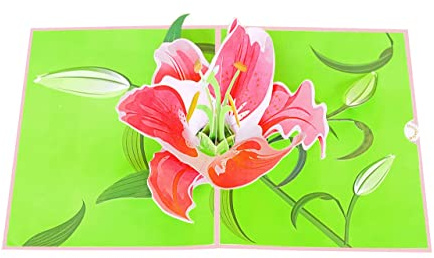 QuindaUK Pop Up Birthday Card, 3D Mothers Day Anniversary Get Well Thank You Card (Lily Bloom - Size 20x15 cm)