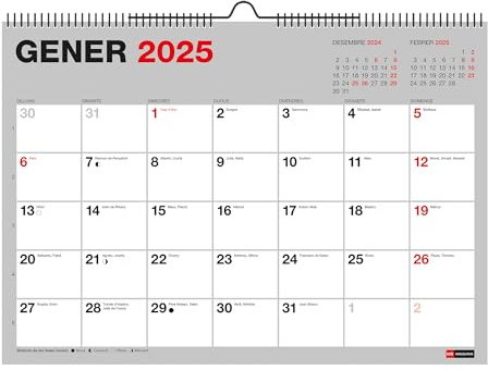 Miquelrius - Väggkalender 2025 basic, A4-kalender: 296 x 210 mm, med plats att kommentera, dubbel spiralbindning, kalender 2025, katalansk