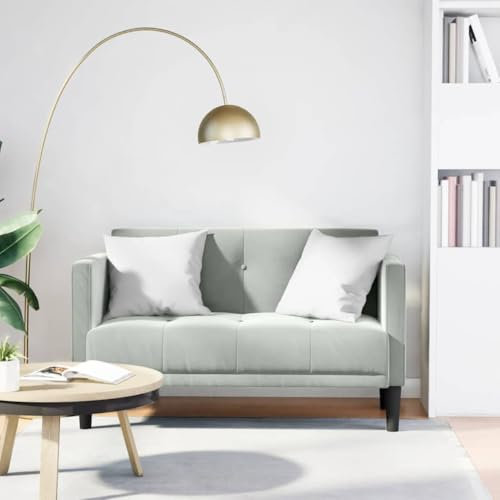 MOBCANT Zweisitzer-Sofa Hellgrau 111 cm Samt Sofabezug Couchgarnitur Polstergarnitur Schlafsofa für Wohnung Büro Hotel Schlafzimmer
