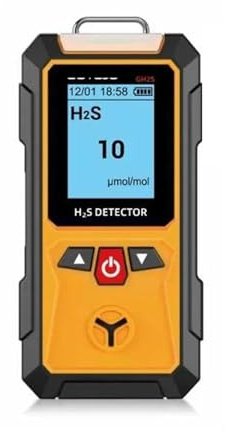 Rilevatore di gas, Rilevatore di gas, misuratore ossigeno, O2, monossido carbonio, CO, H2S, analizzatore combustibili, rilevatore perdite, monitor a qualità 'aria per lavoro e casa(H2S)