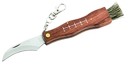 Herbertz Couteau à Champignons, Inoxydable, Manche en Bois de, avec Brosse Incluse Couteau, Gris, M