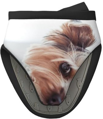 Yorkshire Terrier, Mini guanti da forno in silicone, guanti da forno da cucina antiscivolo resistenti al calore