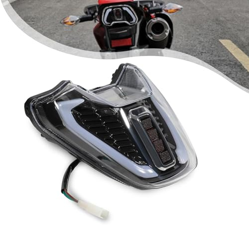 BAOUFF Tail Light for Hawk 250,LED Dirt Bike Taillight Wick for Hawk250