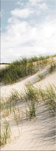 artissimo Glasbild 30x80 cm Bild Strand Dünenlandschaft AG8908A – Meerbild aus Glas, maritimes Wandbild hochkant
