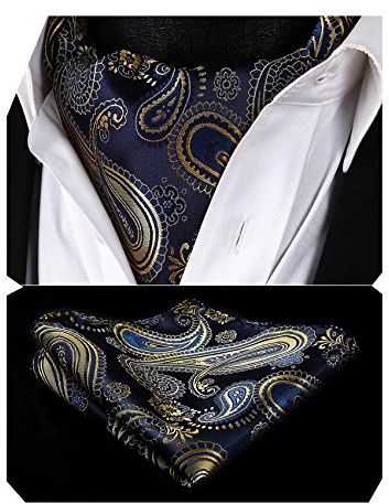 HISDERN Krawattenschal Herren Hochzeit Punkt Halstuch Taschentuch Paisley Business Ascot Krawatte und Einstecktuch Set