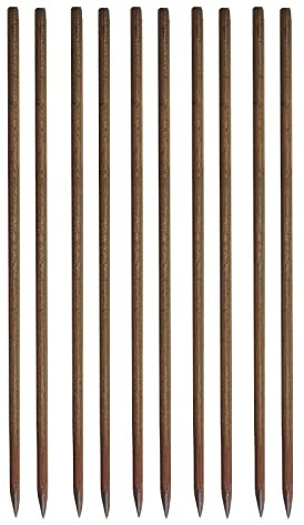 10x Schnureisen 1000x18 mm | Schnurnagel | Schnurpfahl | Schnurstange | Erdnagel | Eisennagel | 10 Stück