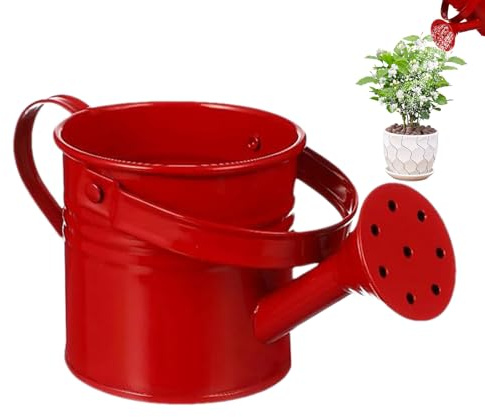 Gießkanne – verzinkter Stahl, 6 l, abnehmbarer Rosen-Sprinklerkopf, rostfreie Outdoor-Dose, langer Auslauf für Garten, Innenbereich, Terrassendekoration, Rasenpflege