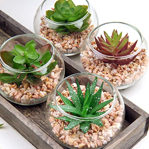 Briful Set of 4 Small Artificial Succulent Plant in Pots, Fake Succulents Decorative Fake Plants in Geometric Glass Pots for Home Office Kitchen Bathroom Shelf Decor