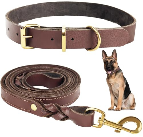 1,5 Meter Premium Leder Hundeleine und Halsband Set für stilvolle Hunde, weiches Lederhalsband und Starke doppelt geflochtene Leine, bequemes und sicheres Hundetraining, Spielen (Groß)