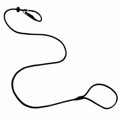 Signature Retrieverleine – 1,25 m leichte Trainingsleine für Hunde, kein Halsband oder Geschirr erforderlich (schwarz)