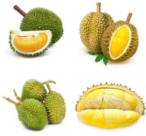 Semi di durian - da frutto nani, resistenti frutto colonnare semi di frutteto serre da balcone per luoghi soleggiati balcone raro colonnari esotico vecchie 25pcs