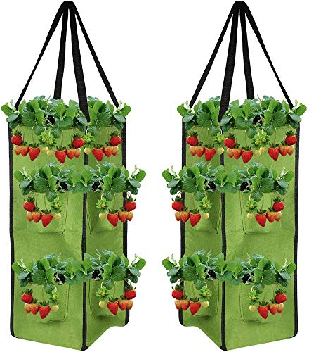 Sehr gut Pflanzen Taschen 2 teilig, Pflanztasche Erdbeeren Pflanzbeutel mit 8 Säcken mit Griffen und Sichtfenster Klettverschluss Atmungsaktiv Beutel Gemüse Grow Bag Pflanzen Tasche Anwesend, Green