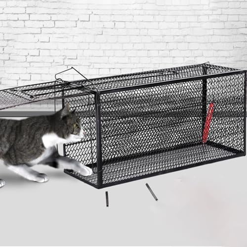 Piège À Chat, Cage Piège À Animaux Vivants, Double Couche Robuste en Acier, Grande Cage sans Cruauté for Petits Chats Errants, Ratons Laveurs, Écureuils(50 * 18 * 18CM)
