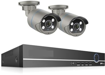 Sistemi di telecamere CCTV, Kit NVR POE 8CH HD 4MP Di Sicurezza CCTV H.265 Face Detect Telecamera IP Bidirezionale For Esterni Set Di Videosorveglianza P2P(3T,8CH NVR 2 Cameras)