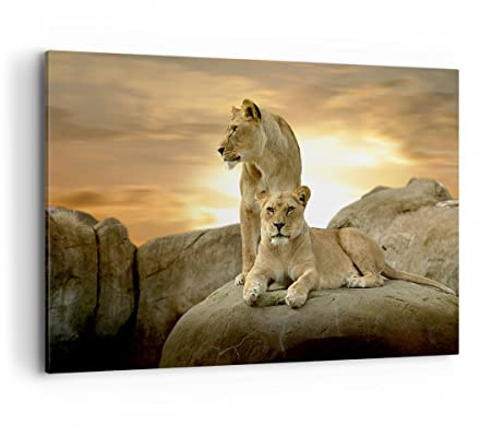 ARTTOR Bilder auf Leinwand 120x80cm Wandbild Tiere - 2958 | Löwen Westen Sonnen Groß XXL Wanddekoration Wohnzimmer Schlafzimmer Wanddeko Wand Kunstdruck Wandkunst Wall Decor ARTTOR