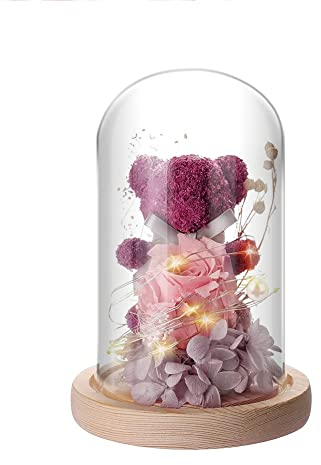 IVEOPPE Rose Eternelle sous Cloche - Ours en Rose avec Lumière LED, Cadeau Femme, Maison Décoration, Cadeau pour Noël, Mariage, Anniversaire, Fête des Mères, Cadeau pour Maman