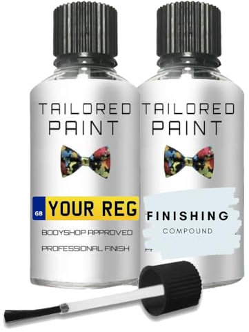 Mixed by Reg Registration Plate Car Touch Up Paint Kit All In 1 Formula Perfect Colour Match Car Paint Check With Finishing Compound