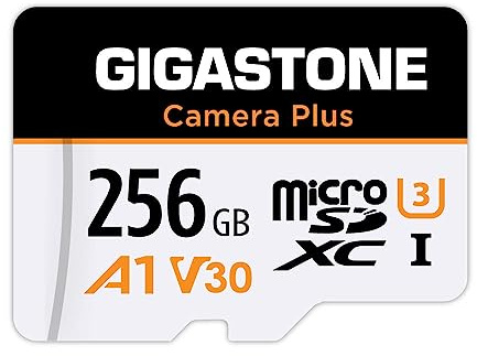 [GIGASTONE] Micro-SD-Karte, 256GB, Kamera Plus, Action-Kamera, Sportkamera, hohe Geschwindigkeit 100 MB/s, Videoaufzeichnung 4K UHD, A1 V30 U3 Klasse 10, mit Adapter