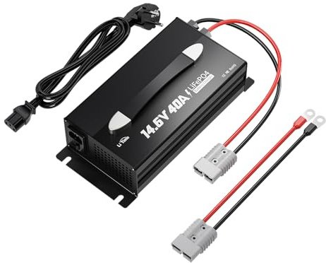 LiTime Caricabatterie 12V 40A, montabile per batteria al litio LiFePO4 da 12V, con indicatore LED e interruttore on/off, spina Anderson, caricatore intelligente AC-DC per batterie al litio